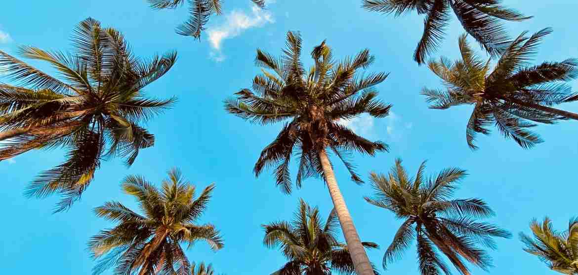koh phangan